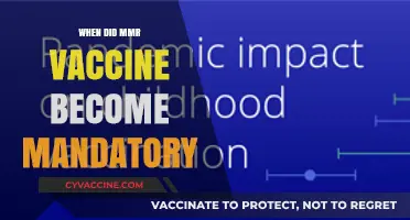 MMR Vaccine Mandate: A Historical Overview of Its Implementation