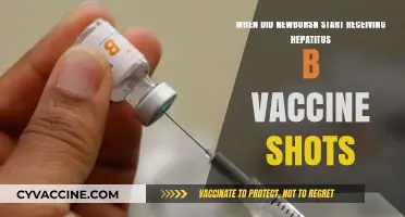 When Did Newborns Begin Getting Hepatitis B Vaccinations?