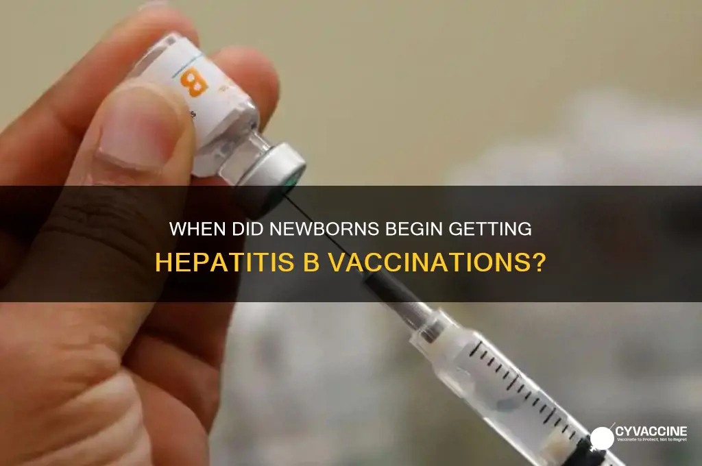 when did newborsn start receiving hepatitus b vaccine shots