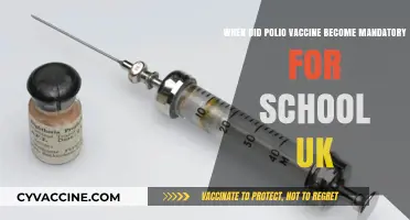 UK Polio Vaccine Mandate: When Did Schools Require It?