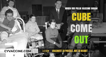 Polio Vaccine Sugar Cube: A Sweet Innovation in History