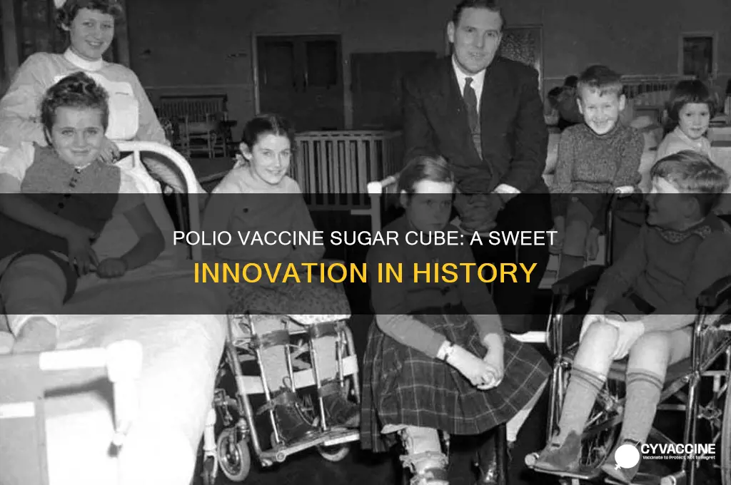 when did polio vaccine sugar cube come out