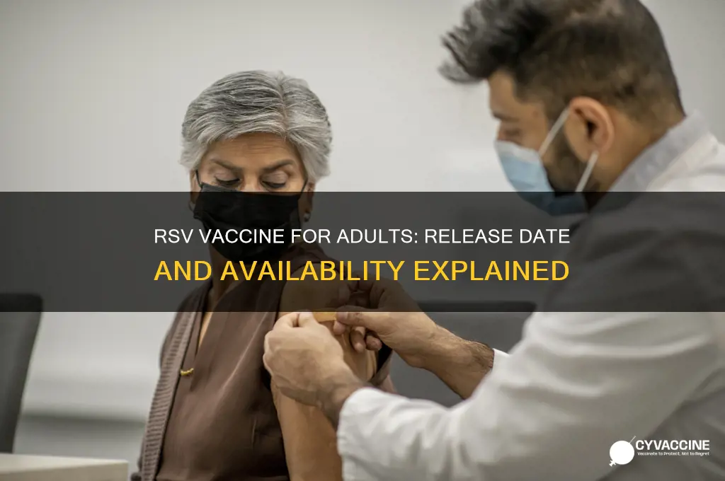 when did rsv vaccine come out for adults