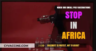 The End of Smallpox Vaccinations in Africa: A Historical Overview