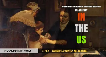Smallpox Vaccine Mandate: A Turning Point in US Public Health