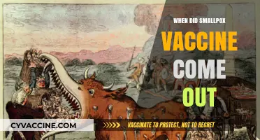 The Smallpox Vaccine: A Historical Breakthrough and Its Release Date