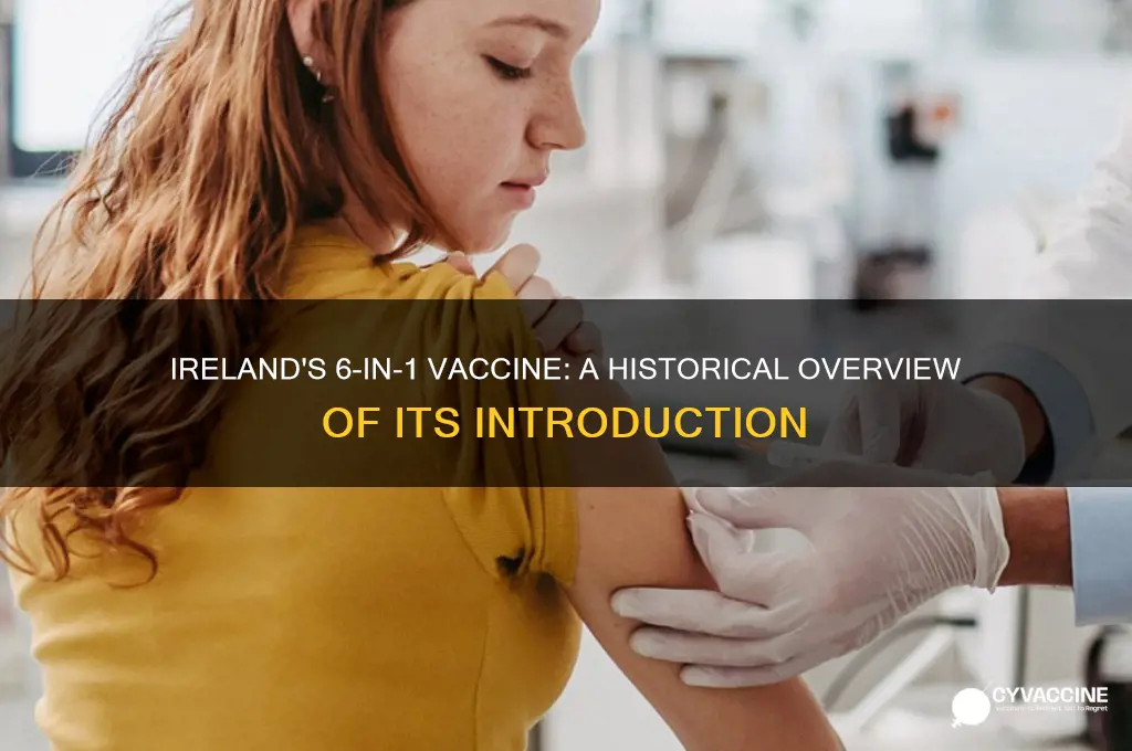 when did the 6 in 1 vaccine start in ireland