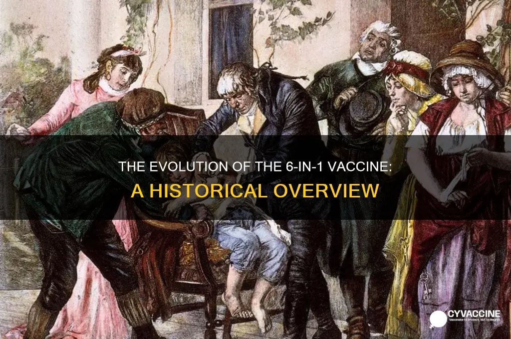 when did the 6-in-1 vaccine start
