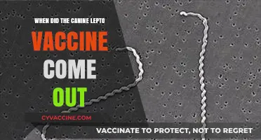 The Emergence of Canine Lepto Vaccine: A Historical Overview