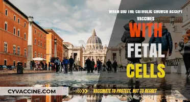 Catholic Church's Stance on Fetal Cell-Derived Vaccines: A Timeline