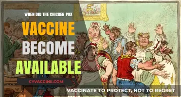 Chickenpox Vaccine: When Did It First Become Available?