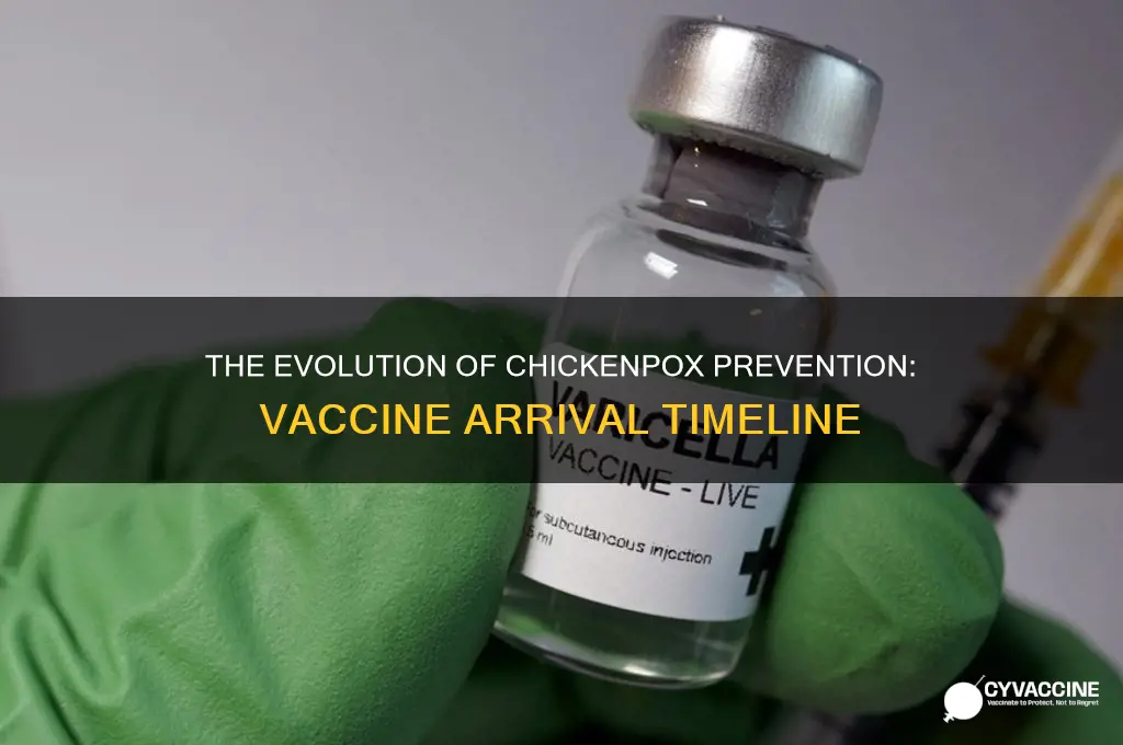 when did the chicken pox vaccine come ojt