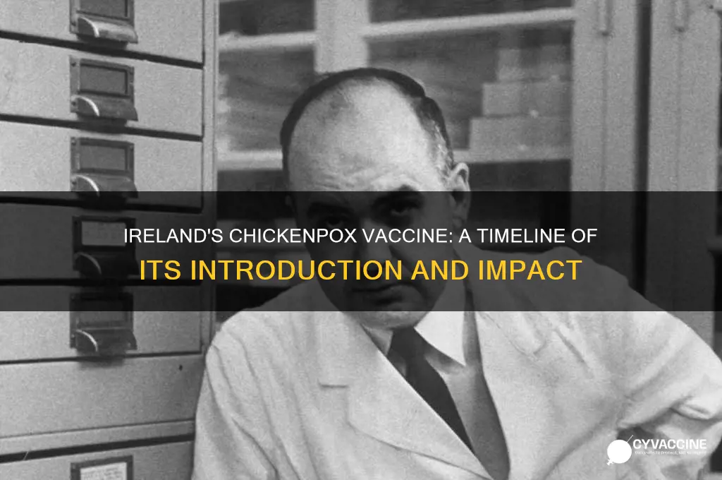 when did the chickenpox vaccine come out in ireland
