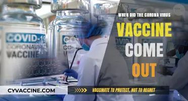 The COVID-19 Vaccine Arrival: A Timeline of Hope and Progress