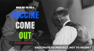 Hep A Vaccine: When Was It Introduced?
