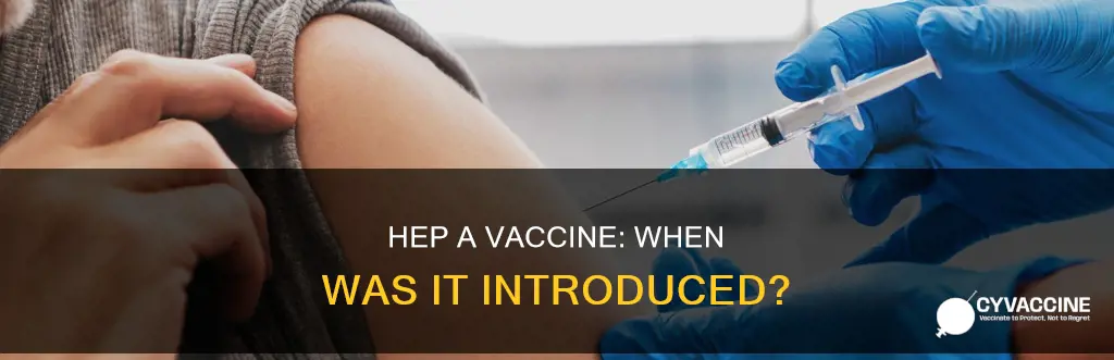 when did the hep a vaccine come out