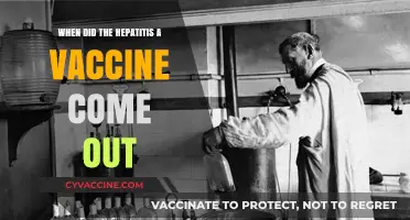 Hepatitis A Vaccine: When Was It Introduced?