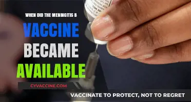 Meningitis B Vaccine Availability: A Timeline of Its Introduction