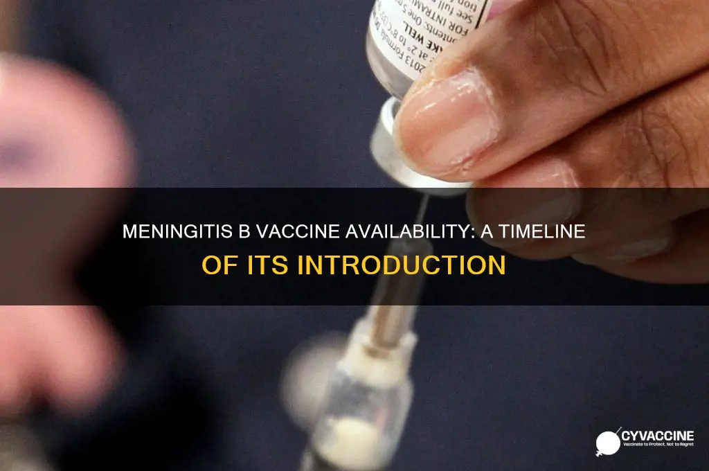 when did the meningitis b vaccine became available