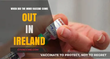 Ireland's MMR Vaccine Introduction: A Historical Timeline and Impact