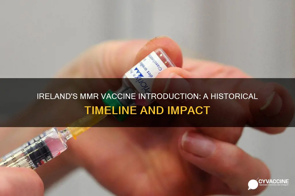 when did the mmr vaccine come out in ireland