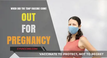 When Did the Tdap Vaccine Become Available for Pregnant Women?