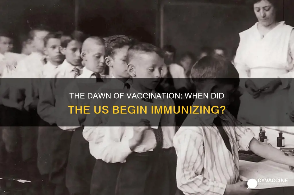 when did the vaccination start in the us