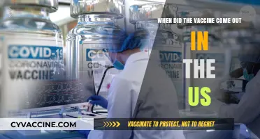 The COVID-19 Vaccine Arrival in the US: A Timeline