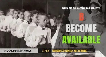Hepatitis B Vaccine: When Did It Become Available?