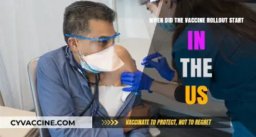 The US COVID-19 Vaccine Rollout: When Did It Begin?