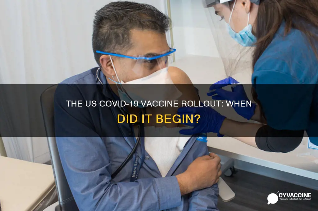 when did the vaccine rollout start in the us