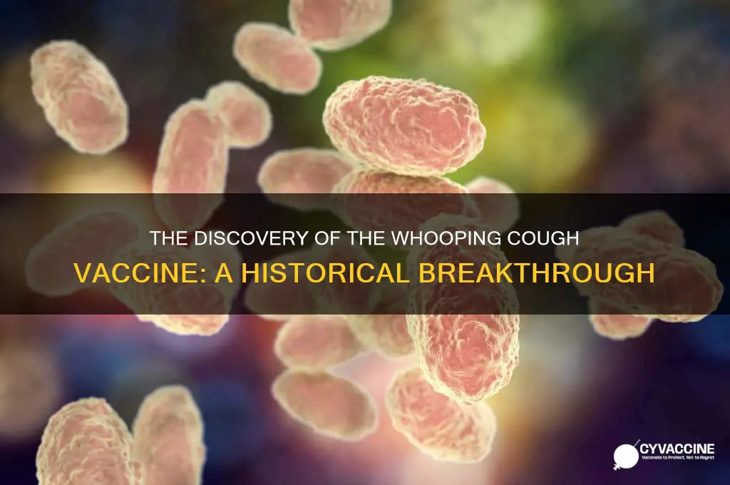 when did they find a vaccine for whopping cough