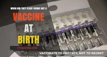 Hepatitis A Vaccine at Birth: Origins and Implementation Timeline