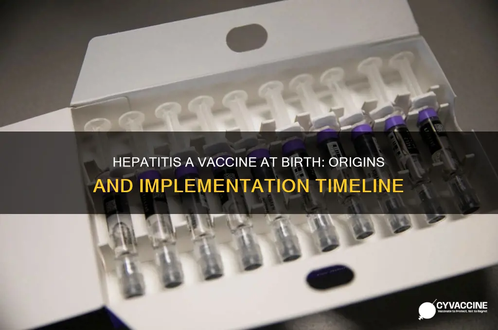 when did they start giving hep a vaccine at birth