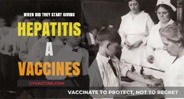 The Evolution of Hepatitis A Vaccines: A Historical Overview