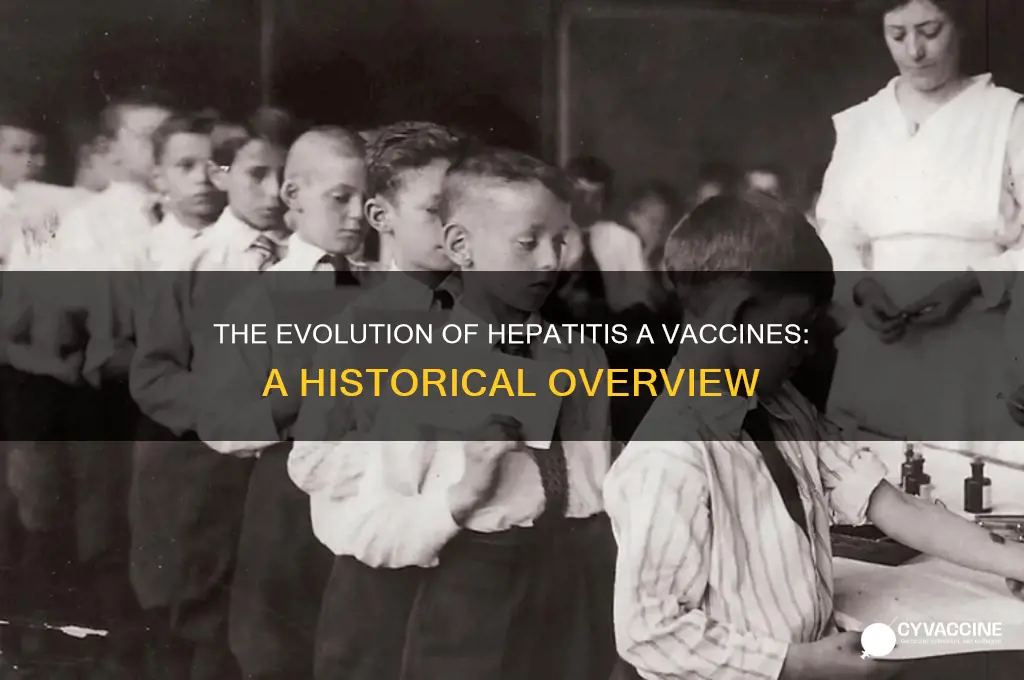 when did they start giving hepatitis a vaccines