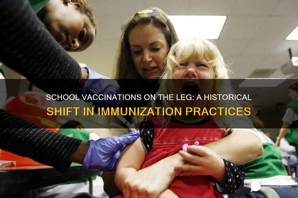when did they start giving school vaccinations on tne leg