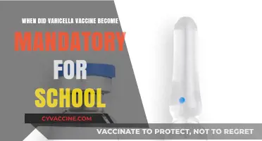 Varicella Vaccine Mandate: When Did Schools Require Chickenpox Immunization?