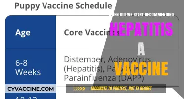 The Evolution of Hepatitis A Vaccine Recommendations: A Timeline