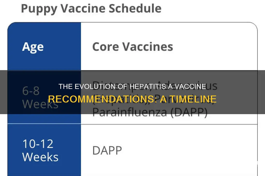 when did we start recommending hepatitis a vaccine