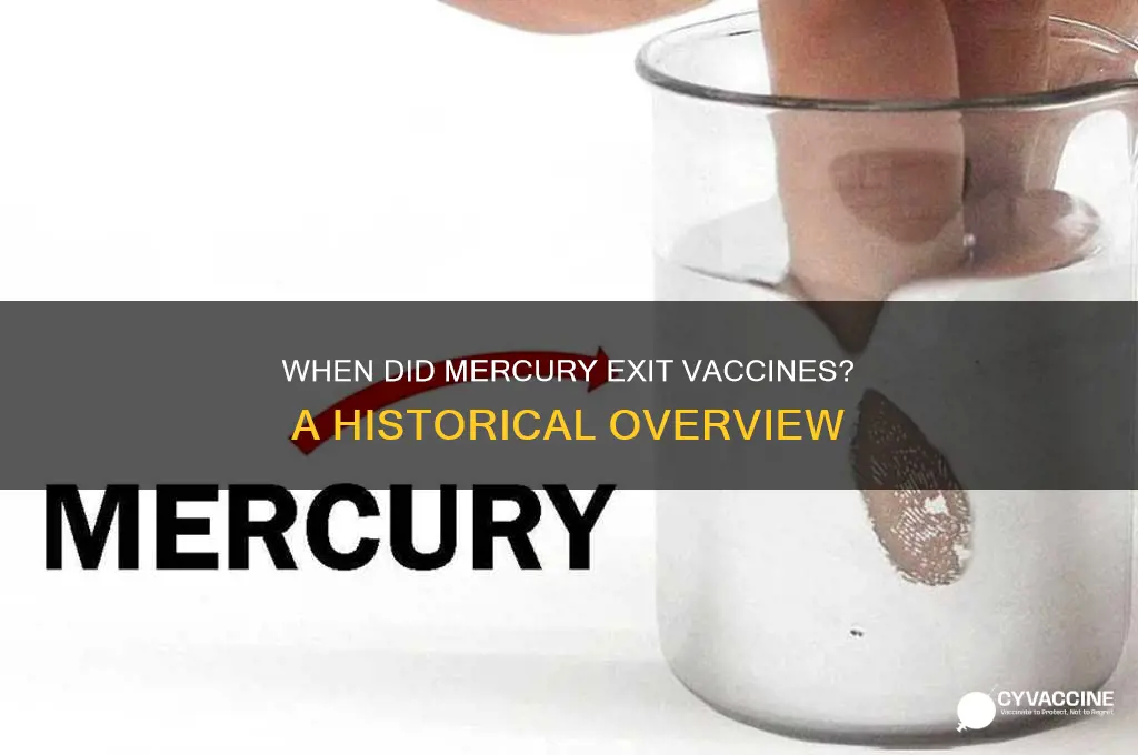 when dis they stopo putting mercury in vaccines