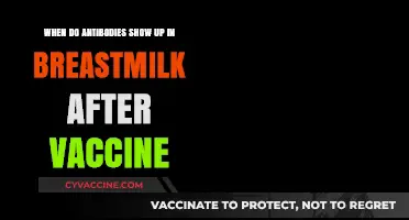 Breastmilk Antibodies: When Do They Appear After Vaccination?