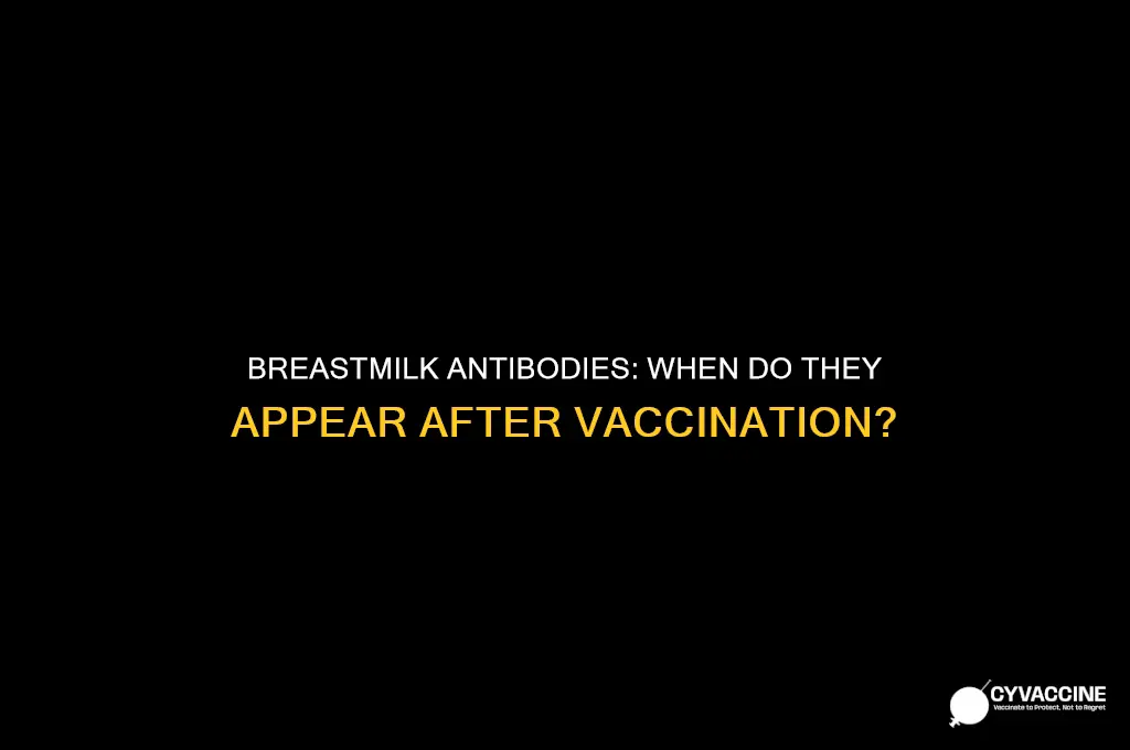 when do antibodies show up in breastmilk after vaccine