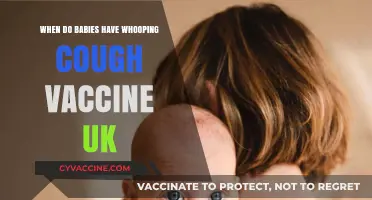 When Do UK Babies Get Whooping Cough Vaccine?