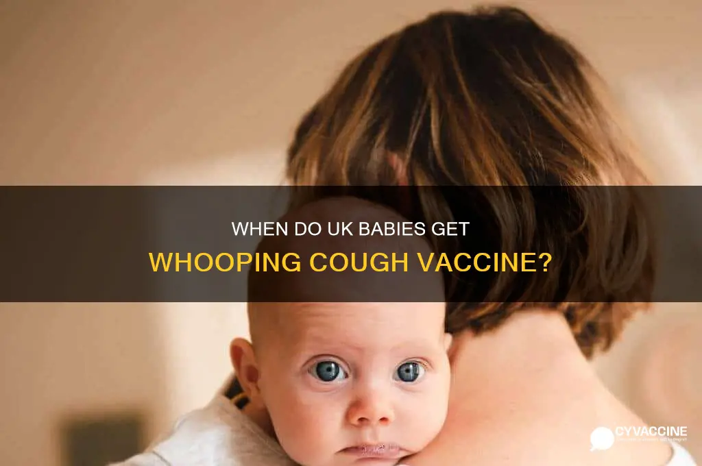 when do babies have whooping cough vaccine uk