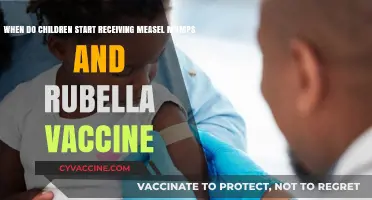 When Should Kids Get the MMR Vaccine: A Parent's Guide