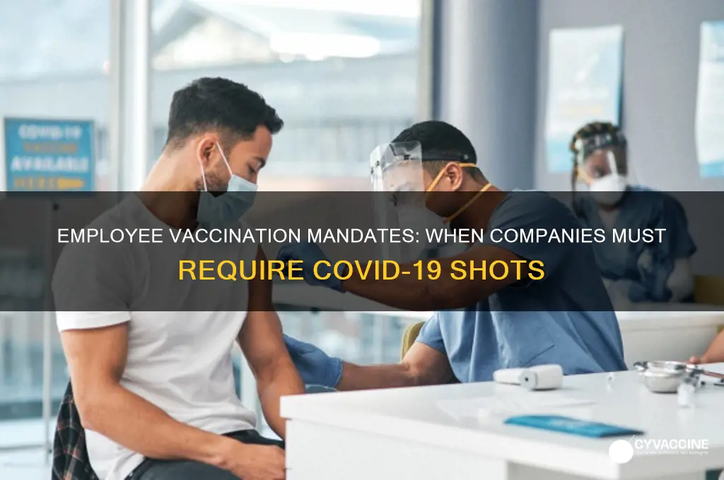 when do companies have to have employees vaccinated