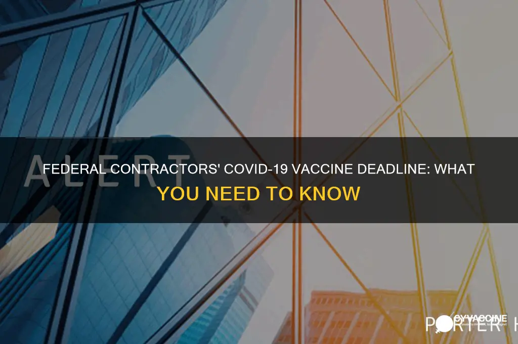 when do federal contractors have to be fully vaccinated