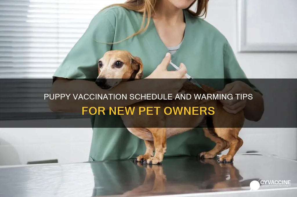 when do i do puppy vaccinations and warming