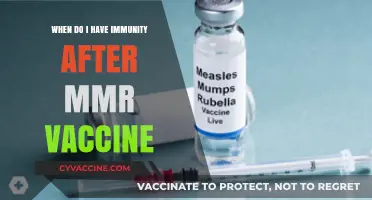 MMR Vaccine Immunity Timeline: When Are You Fully Protected?